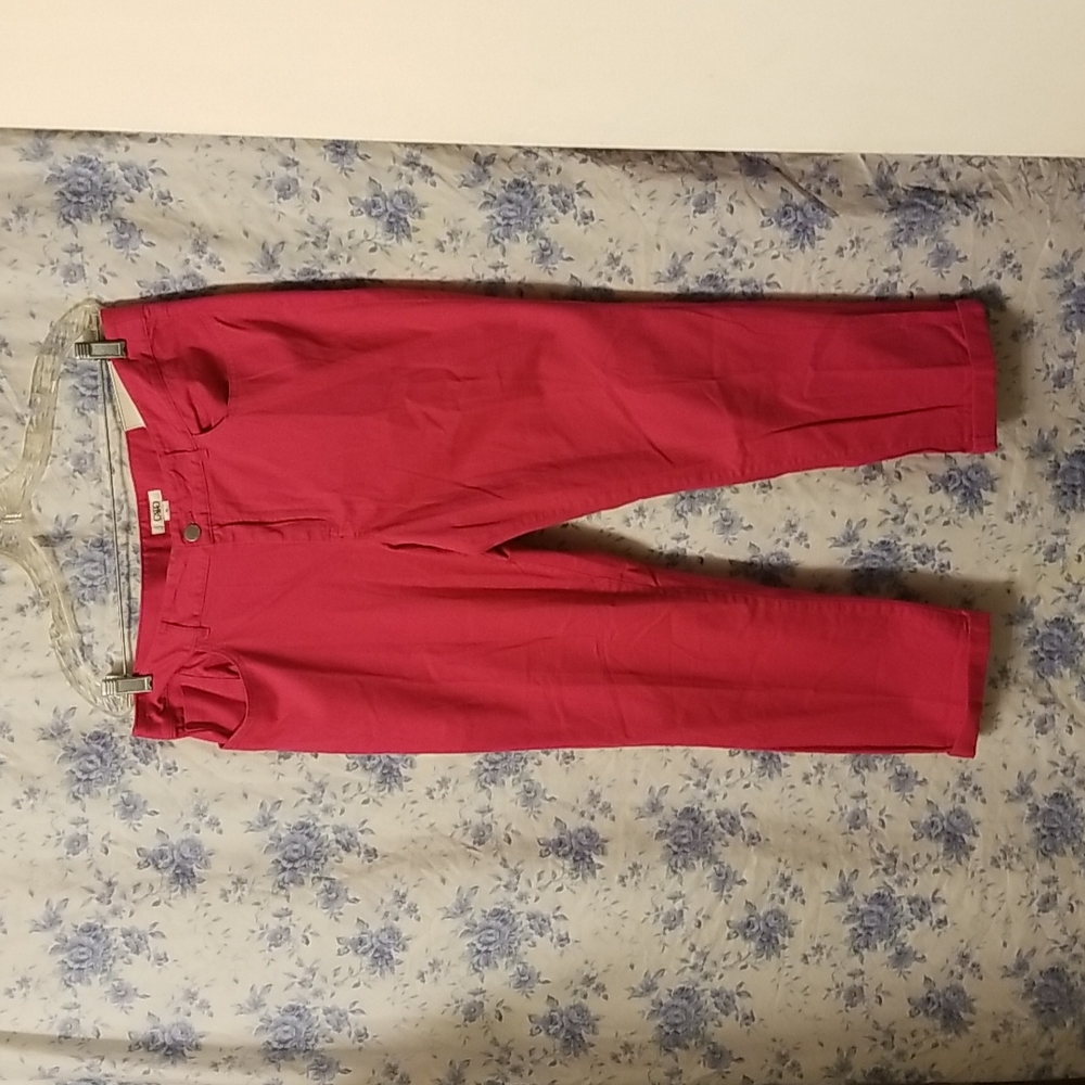 Ladies Ankle Pants